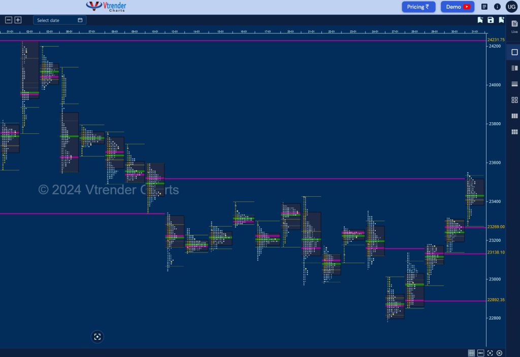 Nifty Spot Daily Market Profile Charts for October 2023